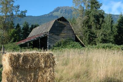 DSC_0204.JPG