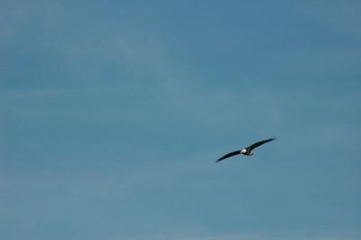 DSC_0649_resize.JPG