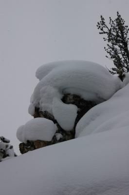 DSC_1035_resize.JPG
