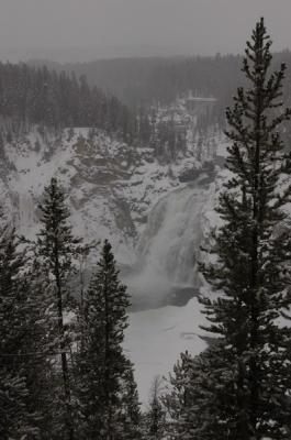 DSC_1050_resize.JPG