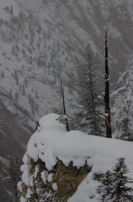 DSC_1070_resize.JPG