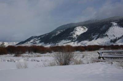 DSC_1252_resize.JPG
