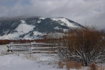 DSC_1253_resize.JPG