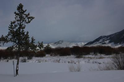 DSC_1255_resize.JPG