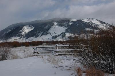 DSC_1258_resize.JPG