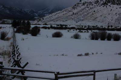 DSC_1278_resize.JPG