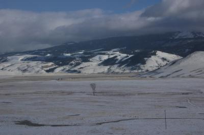 DSC_1295_resize.JPG