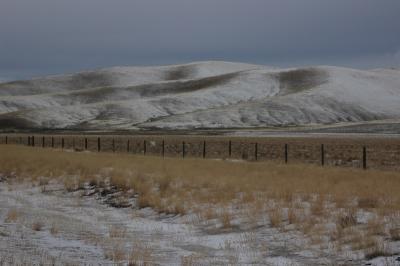 DSC_1326_resize.JPG