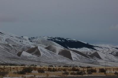 DSC_1334_resize.JPG