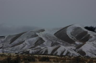 DSC_1340_resize.JPG