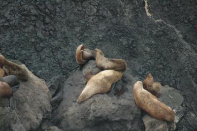 DSC_1433_resize.JPG