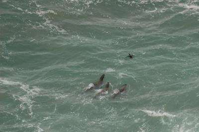 DSC_1441_resize.JPG