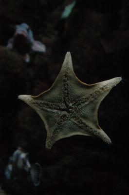 DSC_1525_resize.JPG