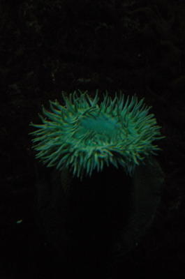 DSC_1528_resize.JPG