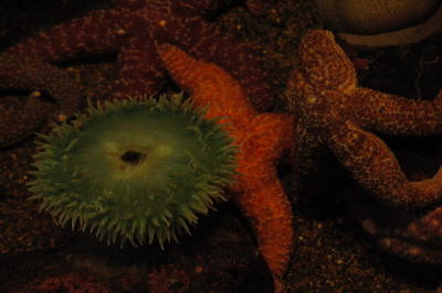 DSC_1543_resize.JPG