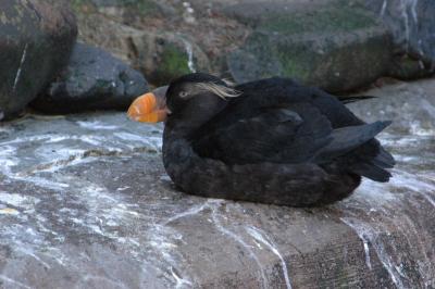 DSC_1569_resize.JPG