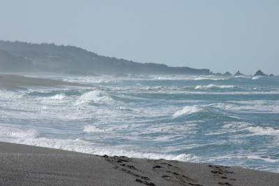 DSC_1631_resize.JPG