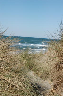 DSC_1636_resize.JPG