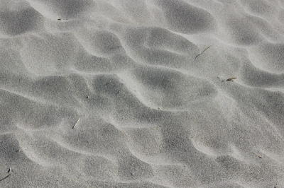 DSC_1654_resize.JPG