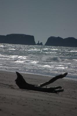 DSC_1669_resize.JPG