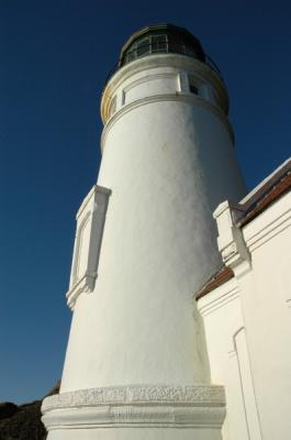 DSC_1709_resize.JPG
