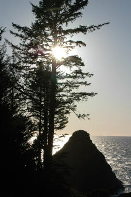 DSC_1733_resize.JPG