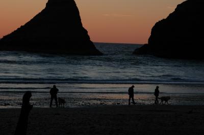 DSC_1754_resize.JPG