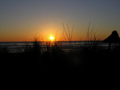 DSCN1625_resize.JPG