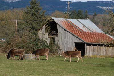 DSC_0101_resize.JPG