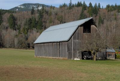 DSC_0136_resize.JPG