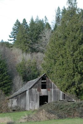 DSC_0147_resize.JPG