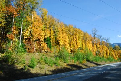 DSC_9060_resize.JPG