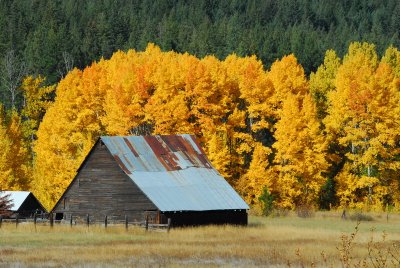 DSC_9094_resize.JPG