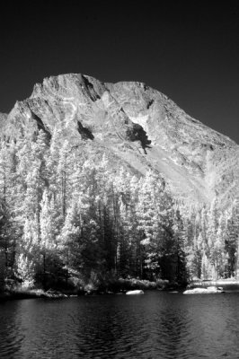 DSC_2807_resize.JPG