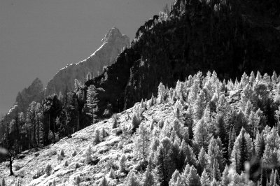 DSC_2809_resize.JPG