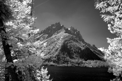 DSC_2812_resize.JPG