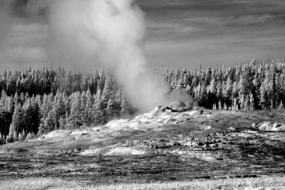 DSC_2826_resize.JPG