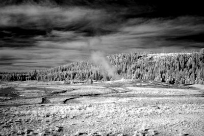 DSC_2835_resize.JPG