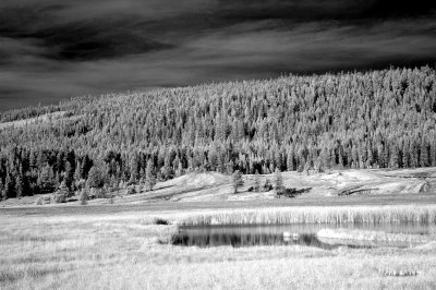 DSC_2841_resize.JPG