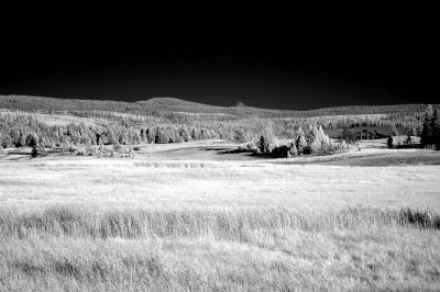 DSC_2843_resize.JPG