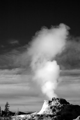 DSC_2848_resize.JPG