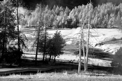 DSC_2881_resize.JPG