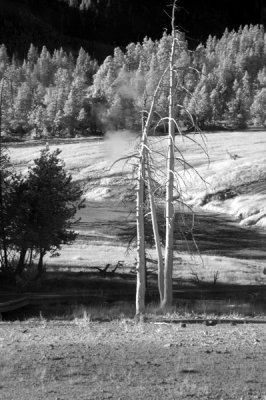 DSC_2883_resize.JPG