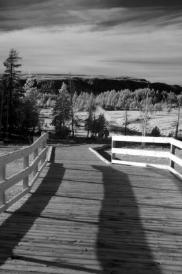 DSC_2890_resize.JPG