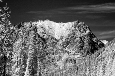 DSC_2593_resize.jpg