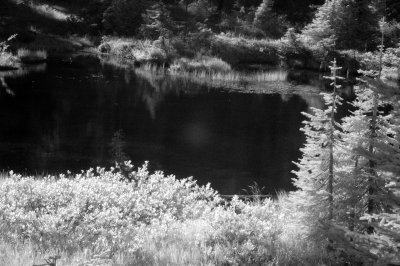 DSC_2603_resize.jpg