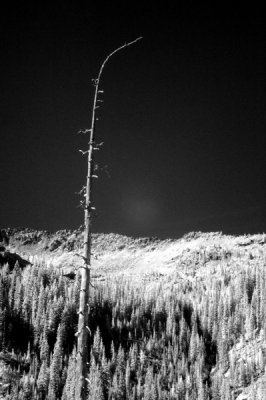 DSC_2614_resize.jpg