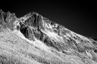 DSC_2667_resize.jpg