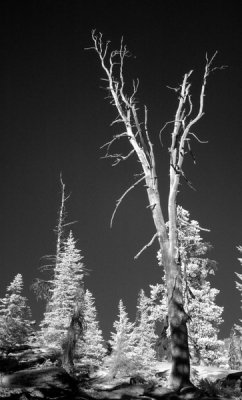 DSC_2745_resize.jpg