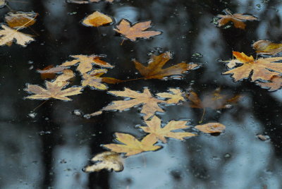 DSC_9292_resize.JPG
